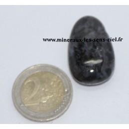 Pendentif Goutte Gabbro