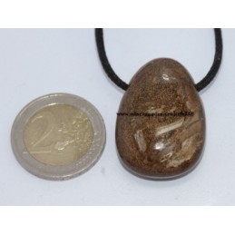 Pendentif Goutte Bronzite