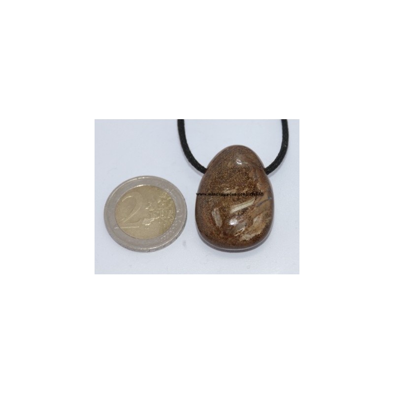 Pendentif Goutte Bronzite