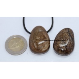 Pendentif Goutte Bronzite