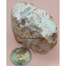 Bois Fossile pétrifié 175g