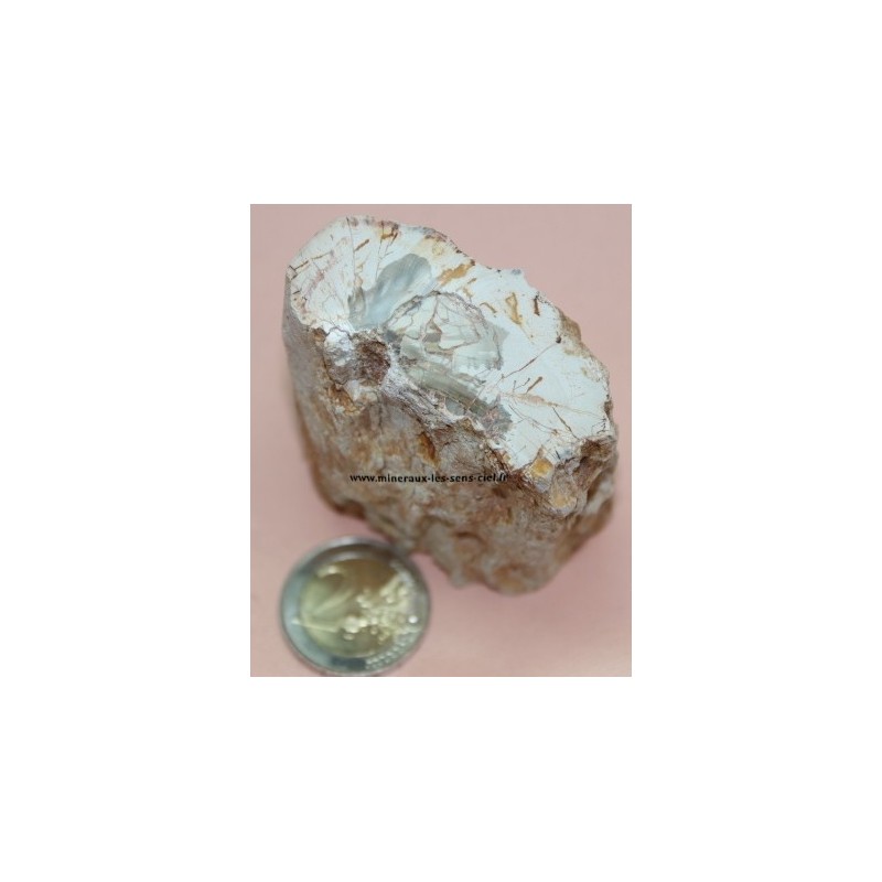 Bois Fossile pétrifié 175g