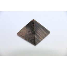 Pyramide en Bois Fossiles Pétrifié