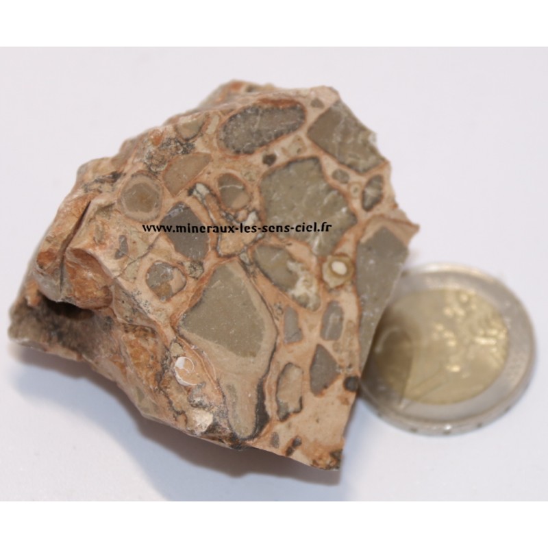 Jaspe Leopardite pierre brute du Pérou