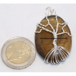 Pendentif galet galet pierre Oeil de Tigre avec Arbre de vie