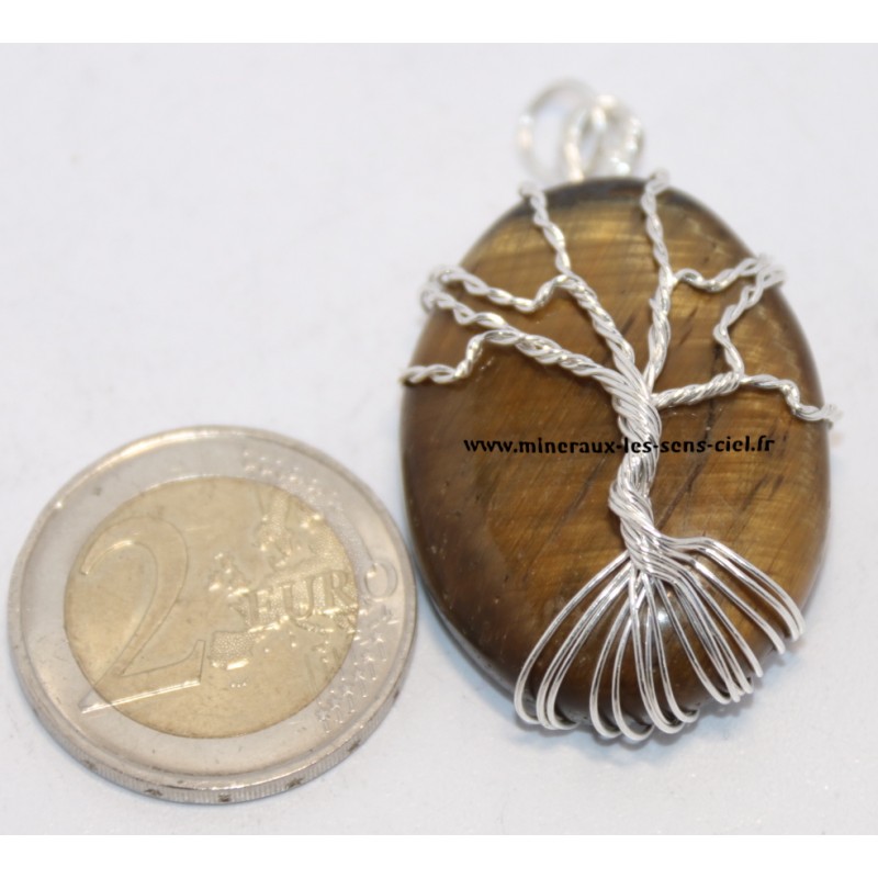 Pendentif galet galet pierre Oeil de Tigre avec Arbre de vie