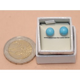 Puce d'Oreille sur monture argent boules 6mm pierre Howlite Bleue