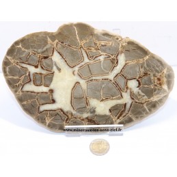 Plaque de pierre Septaria brute poli du Madagascar