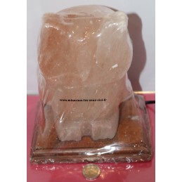 Lampe de sel chouette sur socle bois du Pakistan