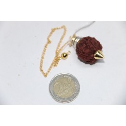 Pendule Rudraksha