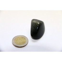 Obsidienne noire argentée pierre roulée