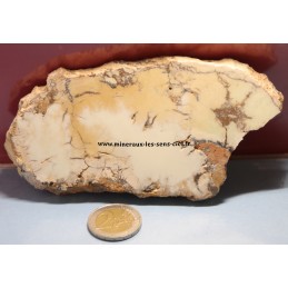 Plaque de Magnésite Citron brute poli 170grs