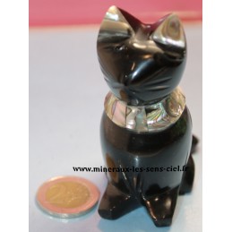 chat obsidienne oeil celeste et coquillage abalone