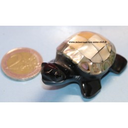 Tortue Obsidienne Noire,...
