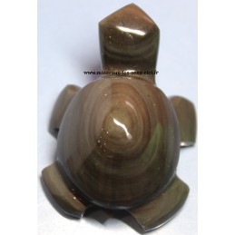 tortue-obsidienne oeil celeste du Mexique