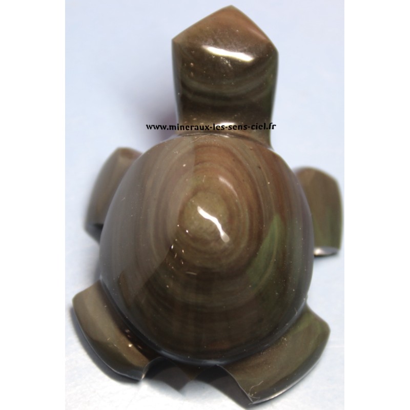 tortue-obsidienne oeil celeste du Mexique tortue-obsidienne oeil celeste du Mexique