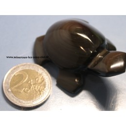 Tortue Obsidienne Oeil Céleste