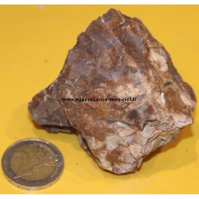 Jaspe à ocelles brute du Pérou