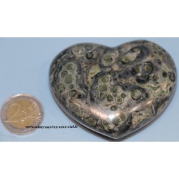 coeur jaspe kambaba du Madagascar