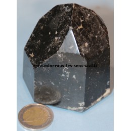 pointe de pierre tourmaline noire brute d'Inde