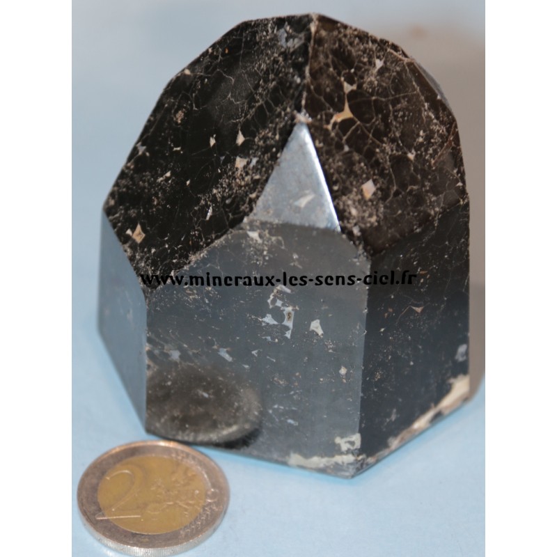 pointe de pierre tourmaline noire brute d'Inde